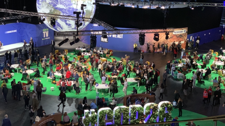 Policy Brief – the Global Governance of L&D at COP26